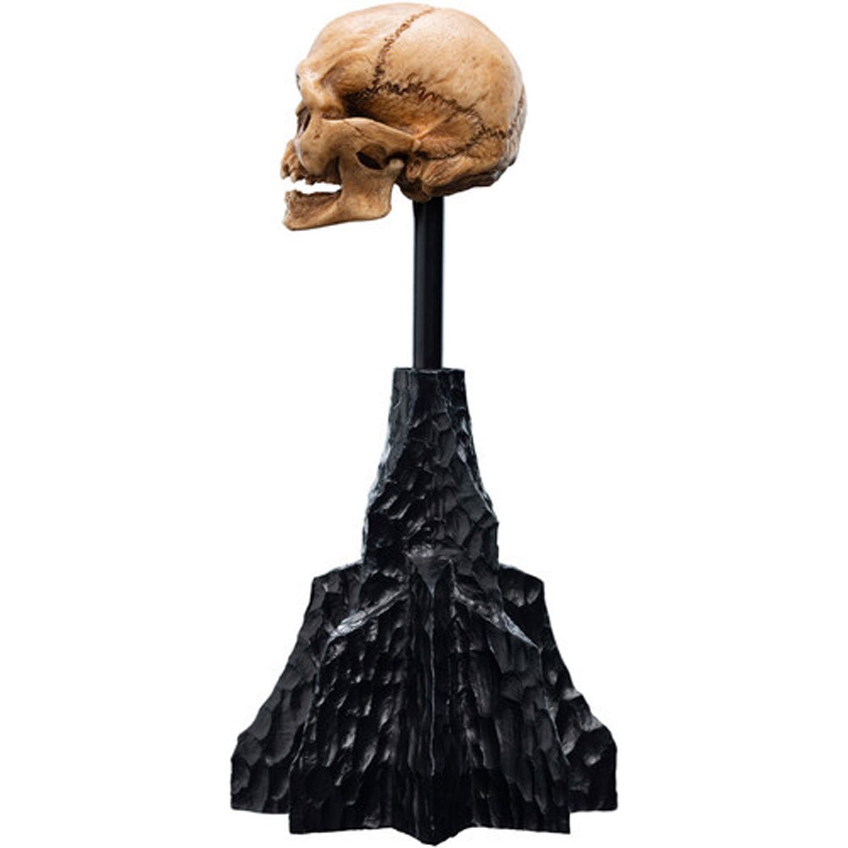1379-the-lord-of-the-rings-skull-of-gollum-polystone-statue-1.webp