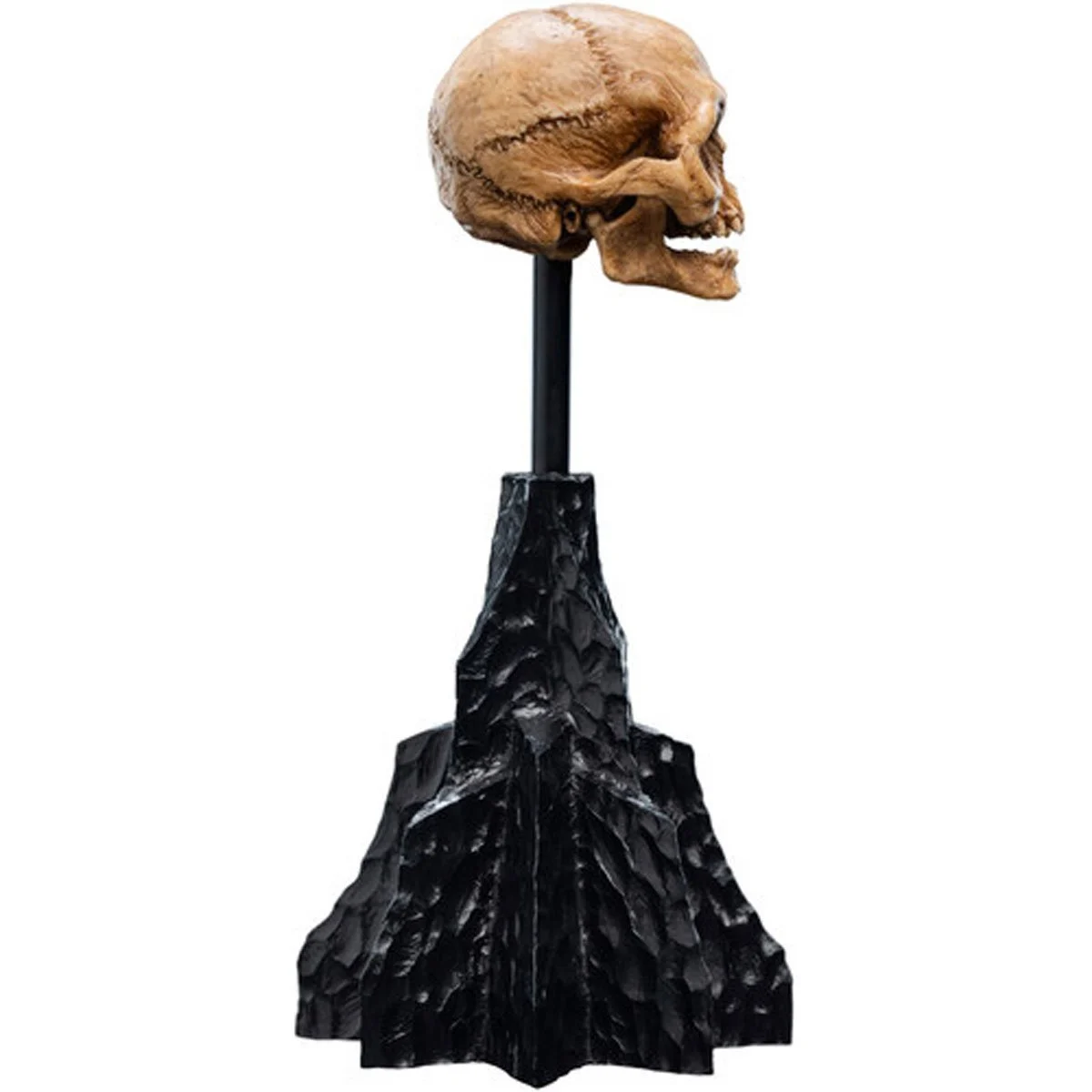 1379-the-lord-of-the-rings-skull-of-gollum-polystone-statue-1.webp