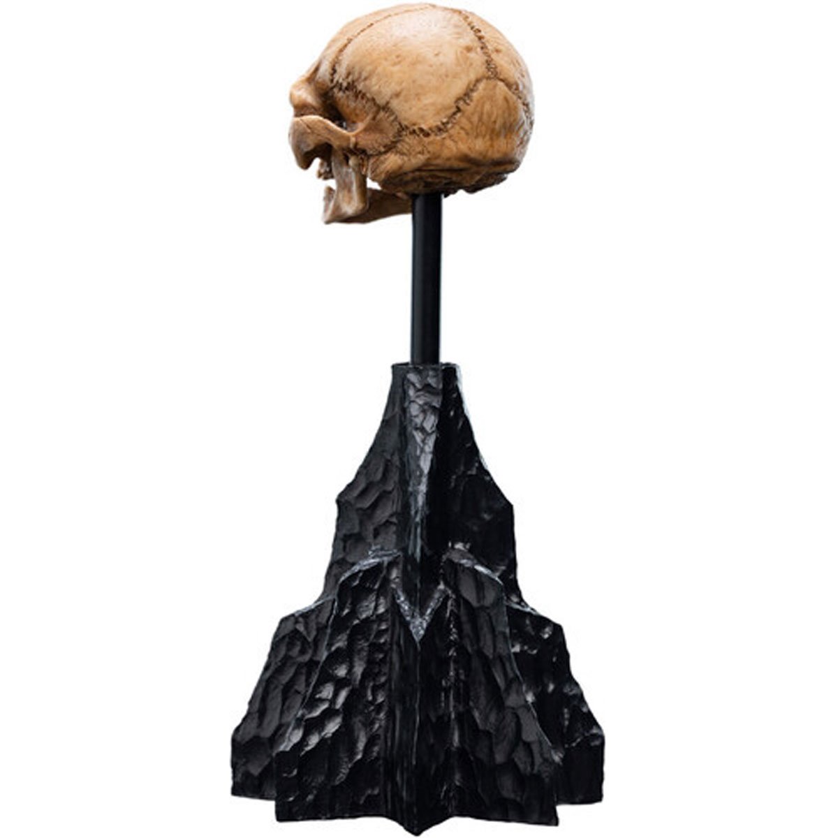 1379-the-lord-of-the-rings-skull-of-gollum-polystone-statue-1.webp