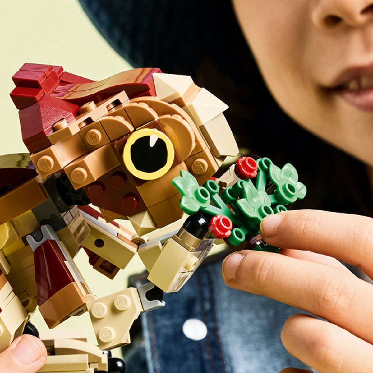 800-lego-76970-jurassic-world-baby-dinosaur-dolores-aquilops-1.jpg